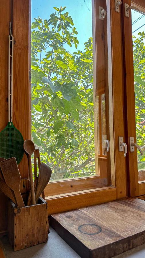 Camping Kromidovo Bagian luar foto